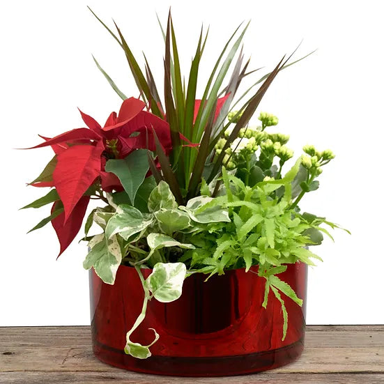 Red Glass Christmas Planer