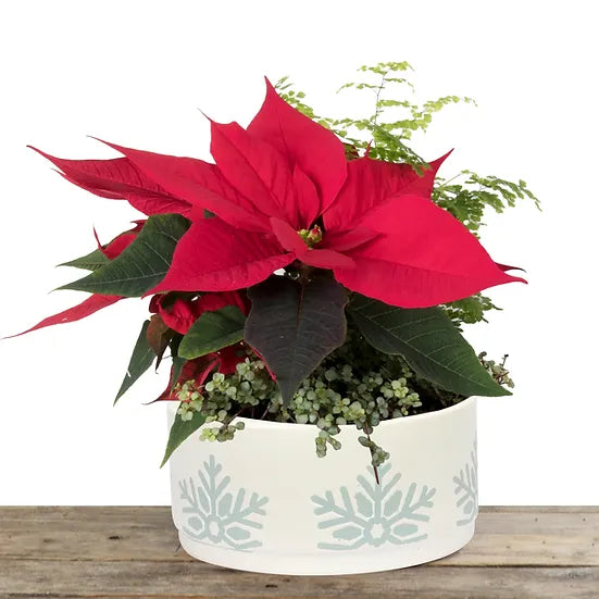 Snowflake Ceramic Planter