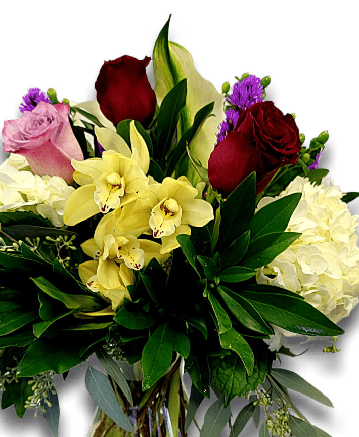 Bold and Beautiful - Rosebay Florist