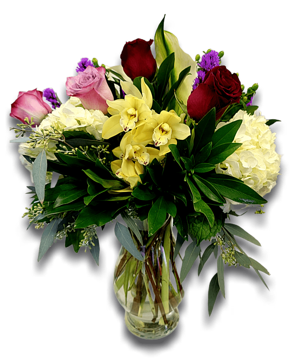 Bold and Beautiful - Rosebay Florist