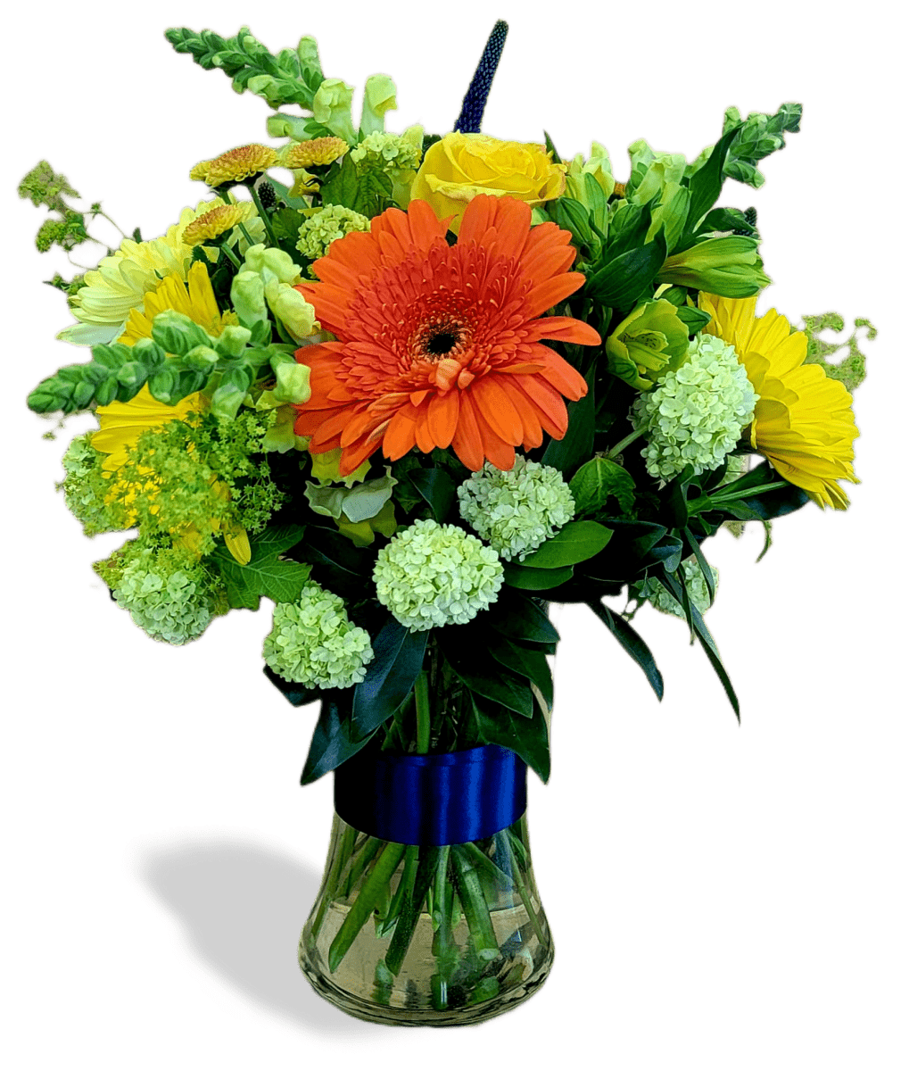 Bright Day - Rosebay Florist