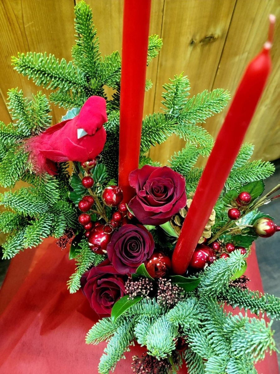 Celebrate Christmas - Rosebay Florist